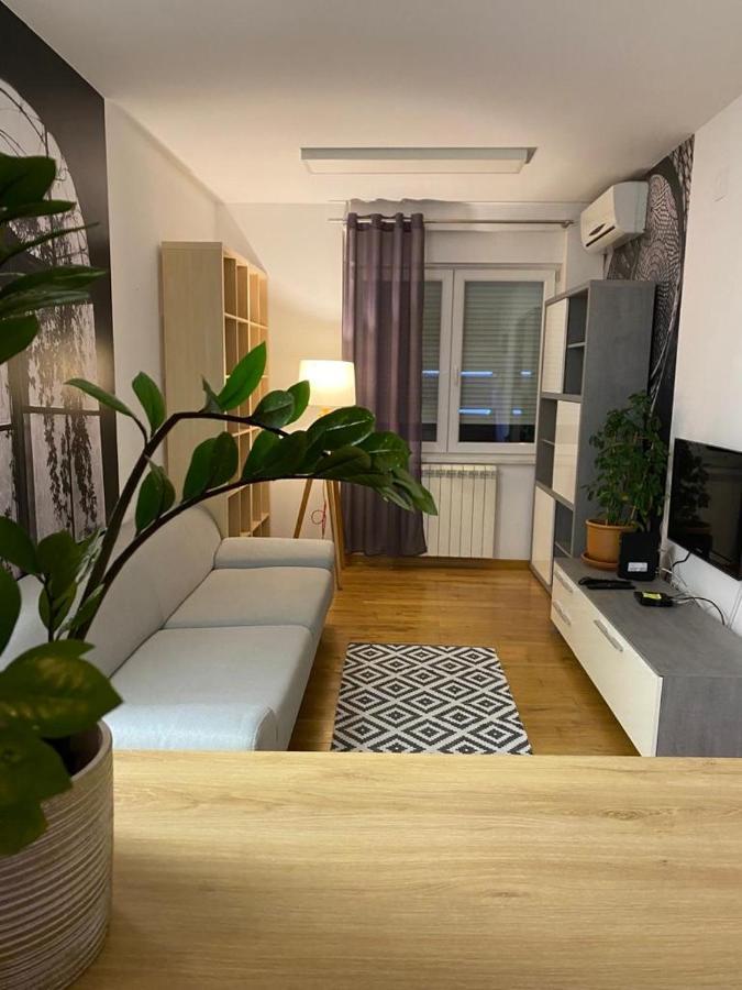 Benvenuti Apartments Belgrado Buitenkant foto